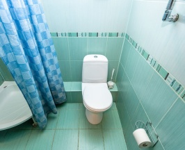 Четырёхместный номер Comfort с балконом в Лесные поляны