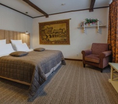 Двухместный полулюкс двуспальная кровать в Губернский