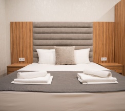 Делюкс 3х местный в Акрополь