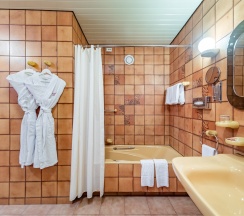 Полулюкс Modus DOUBLE в Президент-Отель