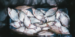 Астрахань: Турбаза Путина