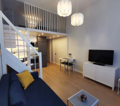 Апартаменты студия в Inkeri Apartment (Инкери Апартмент) на улице Тургенева