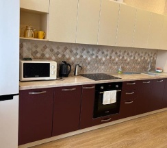 2-комнатные апартаменты улучшенные в Академ апарт