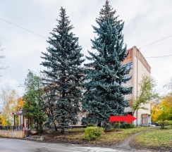 Квартира в Апартаменты на комсомольская 19