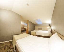 Double Twin Mansard в Scandinavia