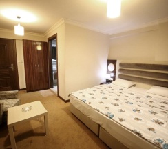 Двухместный номер Standard двуспальная кровать в Siesta Apart & Hotel