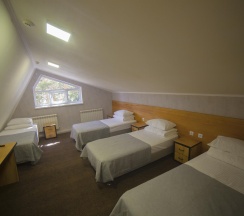 4-местный номер стандарт (мансарда) в Альпина