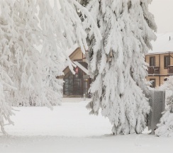 Номер «Стандарт» в Игора