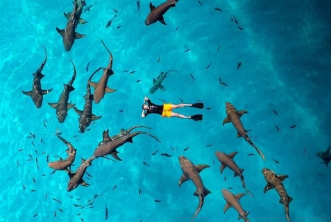 Диффуши: Отель Crown Beach Hotel Maldives