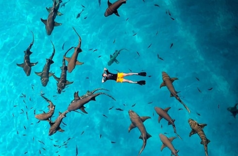Мальдивы, Диффуши: Отель Crown Beach Hotel Maldives