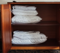 Бизнес класс комфортный с двумя кроватями/ или одной широкой кроватью и диваном-кроватью в Бенефит Плаза