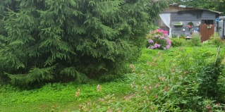 Приморск: Коттедж Олта