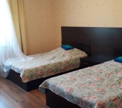 Номер люкс с 2 односпальными кроватями в Гостиница