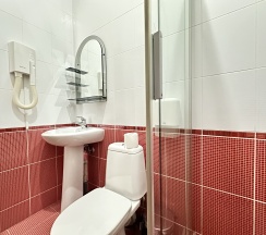 Улучшенный номер в Партия