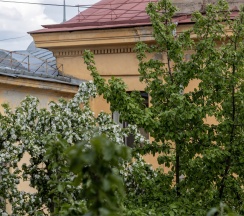 Номер с балконом в Jazzclub