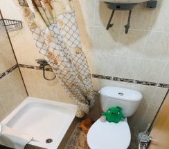 Стандарт Трехместный в Нэста