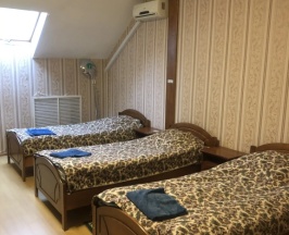 Кровать в общем номере (общая ванная комната) в Рябинушка