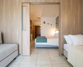 Двухместная студия Superior (двуспальная кровать) в Selini Suites