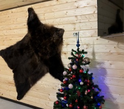 Дом в Небо
