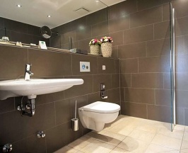 Одноместный номер Executive двуспальная кровать в XII Apostel Hotel Albergo