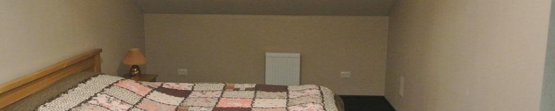 Номер стандарт (мансарда) в Maxim