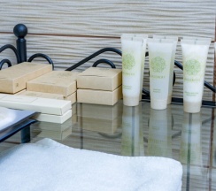 Люкс в SPA-Курорт Кедровый