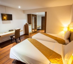Номер Standard с видом на сад в NH Elegant Hotel