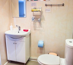 Номер улучшенный с 2 односпальными кроватями в Микли-Ольгино