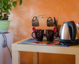 Стандартный номер  в Востряково