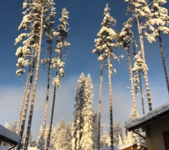 Дом 3 в Сосновка