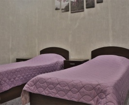 Стандарт двухместный в Олимп