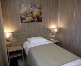 Номер эконом (без окна) в Central Hotel