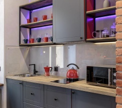 1-комнатные апартаменты студия Industrial в Roomburg (Румбург)