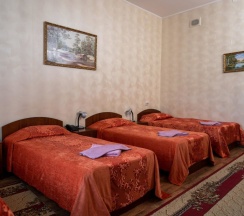 Трёхместный номер Standard в Товарково