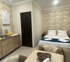 Студия с красивым видом из окна в Holiday Home