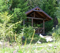 Дом «Медовый» в Лесная сказка