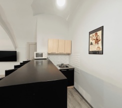 АПАРТАМЕНТЫ LOFT в Proloft city hostel&rooms