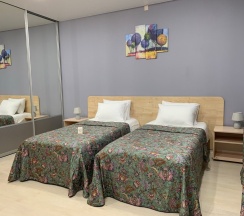 Стандарт с двумя раздельными кроватями в Премьер