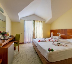 Двухместный номер Standard двуспальная кровать в Viking Park Hotel