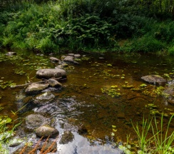 Палатки повышенного комфорта "Лесной домик" в Белка