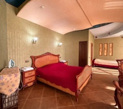Двухместный номер VIP (двуспальная кровать) в Holiday