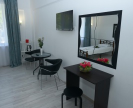1-местный номер стандарт в Deltafly hotel