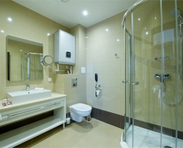 Бизнес класс в Метелица