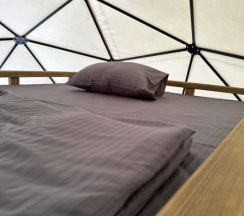 Супериор в Shambala