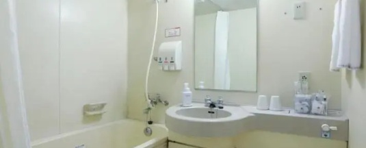 Номер с маленькой двуспальной кроватью в APA Hotel Tokyo Ojima