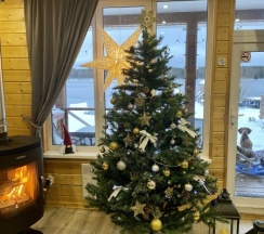 Коттедж 3 в Онежская горка