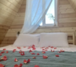 Дом в Фазенда