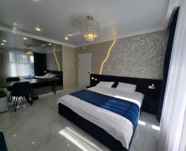 Дизайнерский номер категории «Делюкс» в Владимирский