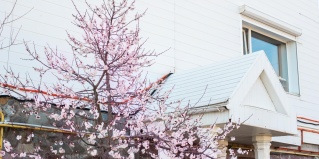 Сочи: Коттедж Цветок Жизни