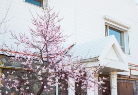 Коттедж Цветок Жизни в Сочи